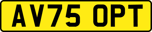 AV75OPT