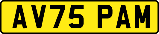 AV75PAM