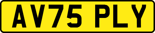 AV75PLY