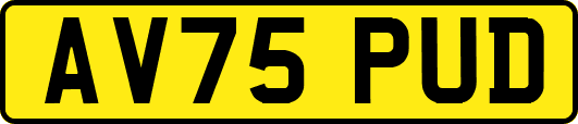 AV75PUD