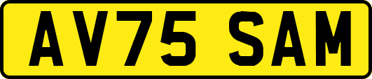 AV75SAM