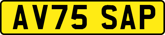 AV75SAP