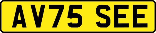 AV75SEE
