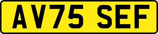 AV75SEF