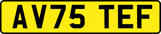 AV75TEF