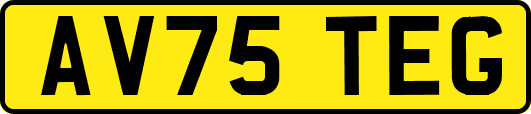 AV75TEG