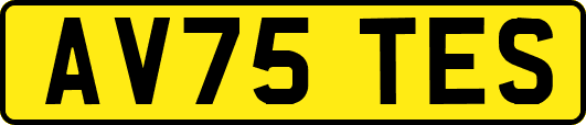 AV75TES