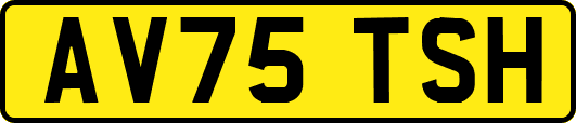 AV75TSH
