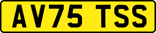 AV75TSS