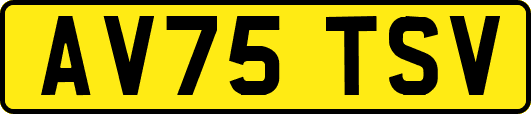 AV75TSV