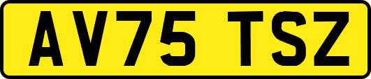 AV75TSZ