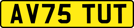 AV75TUT