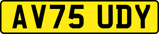 AV75UDY