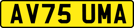 AV75UMA