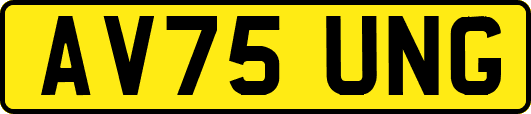 AV75UNG