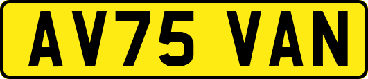 AV75VAN