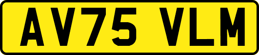 AV75VLM