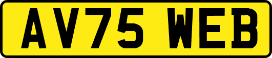 AV75WEB