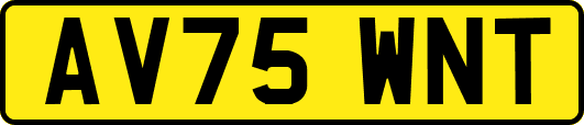 AV75WNT