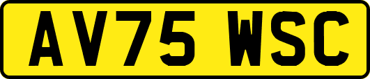 AV75WSC