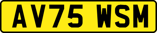 AV75WSM