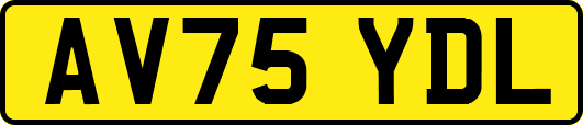 AV75YDL