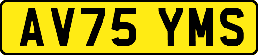 AV75YMS