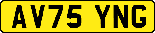 AV75YNG