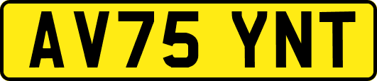AV75YNT