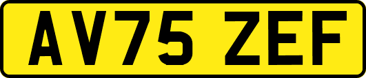 AV75ZEF