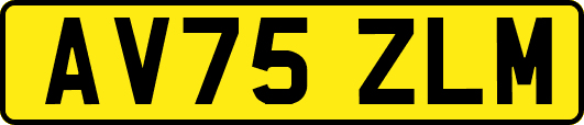 AV75ZLM