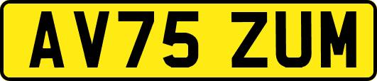 AV75ZUM