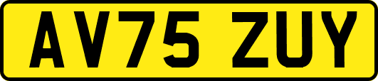 AV75ZUY