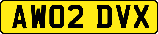 AW02DVX