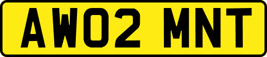 AW02MNT