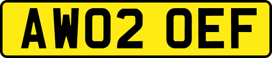 AW02OEF
