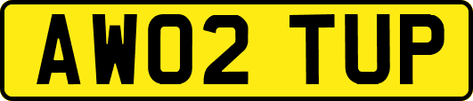 AW02TUP