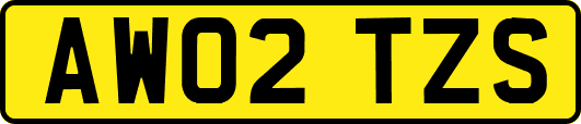 AW02TZS