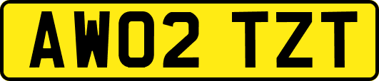 AW02TZT