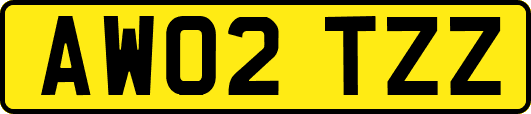 AW02TZZ
