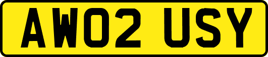 AW02USY