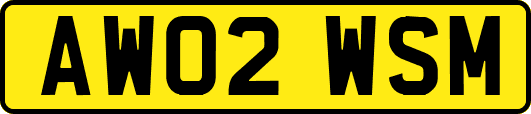 AW02WSM