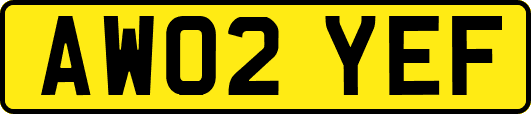 AW02YEF