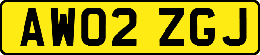 AW02ZGJ