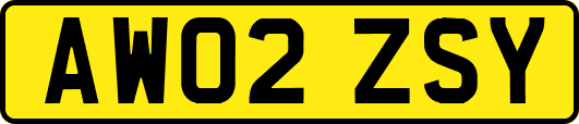 AW02ZSY