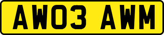 AW03AWM