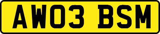 AW03BSM