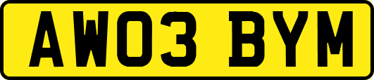 AW03BYM