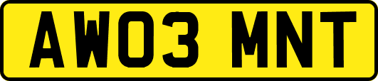 AW03MNT