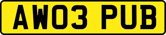 AW03PUB